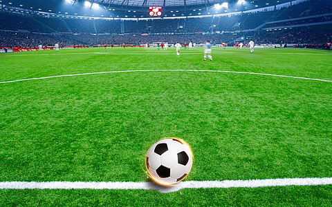 法德友谊赛原是恐怖袭击目标 德国队在球场过夜-中新网